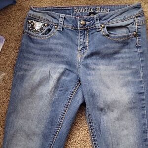 Antique Rivet Embellished Skinny Jeans